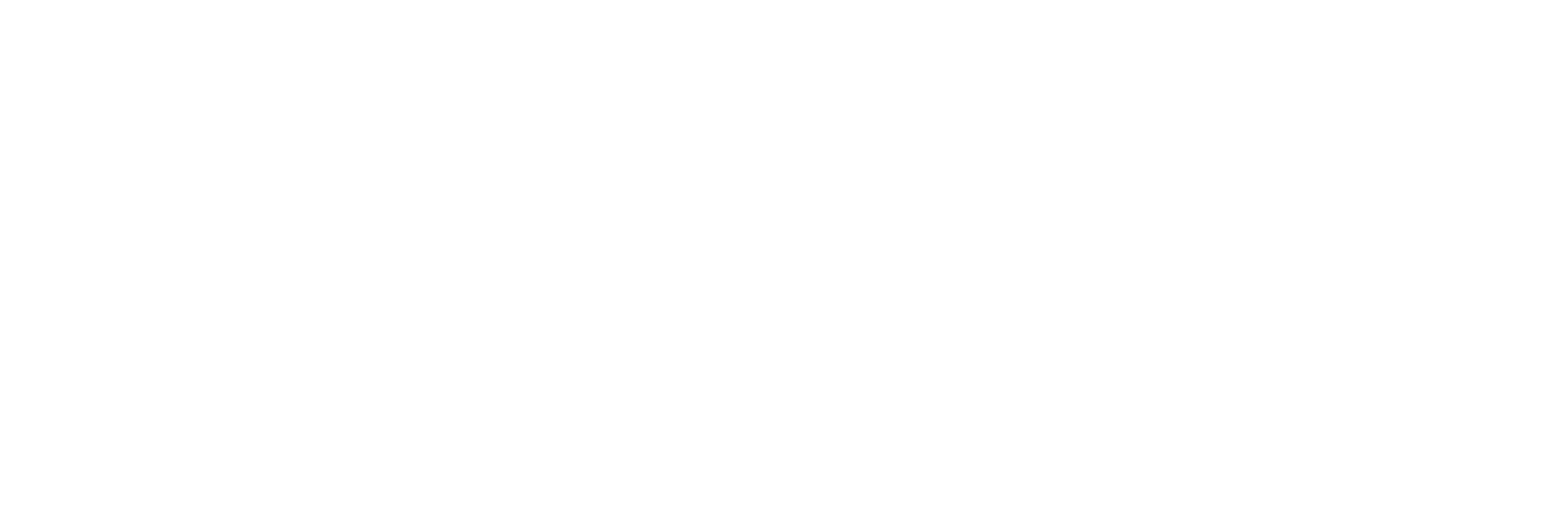 Cesar Camacho